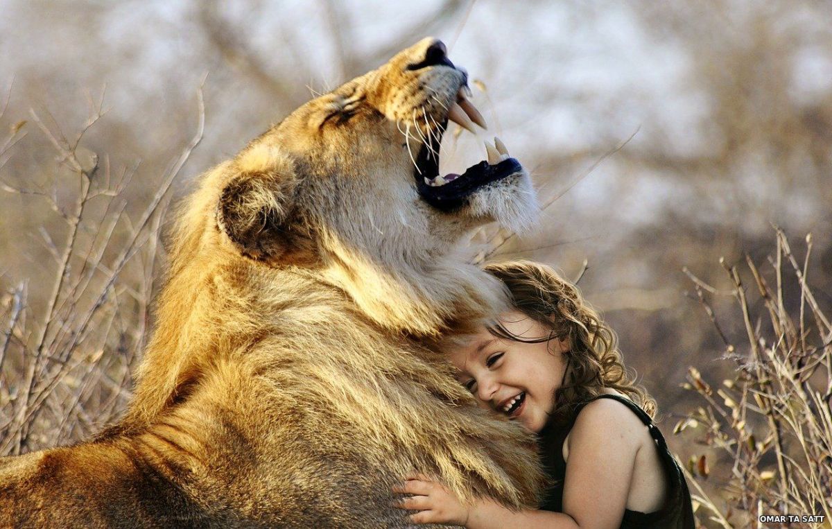 Лев обнимает человека